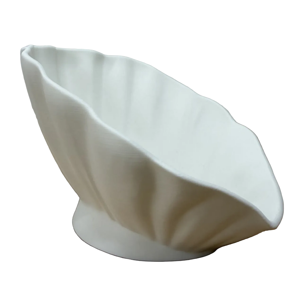 Sculpturale schelpschaal met organische vorm en vloeiende lijnen