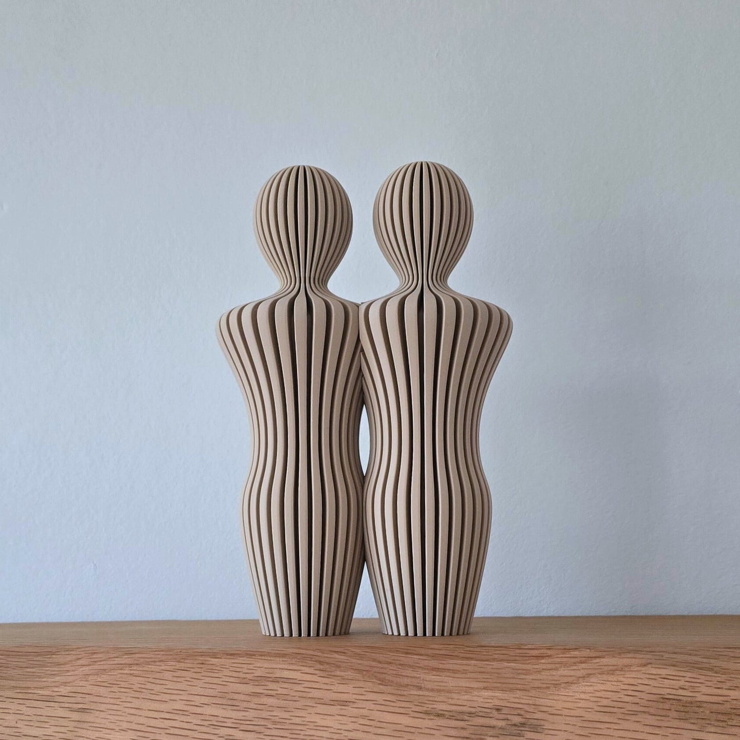 Koppelbeeld Twee Mannen