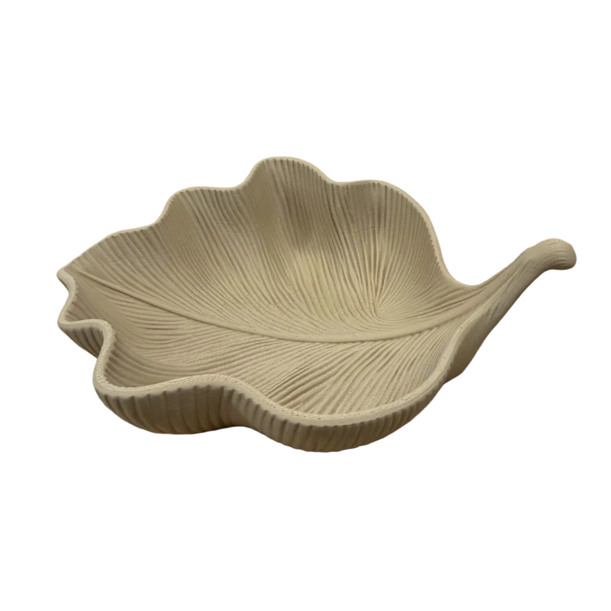 Decoratieve bladschaal in latte bruin